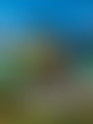 Haily dapat subkontrak RM50 juta untuk projek perumahan Laman Citra Fasa 3 di Johor