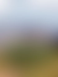 Projek perumahan terbengkalai dan "sakit" semakin meningkat di Malaysia, senarai hitam pemaju bukanlah penyelesaian yang efektif kerana pemaju hanya perlu membayar denda