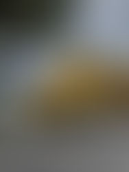 Selangor kaji mekanisme baru pembangunan semula perumahan PKNS berusia lebih 30 tahun