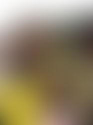 JKR gunakan sistem ‘Launching Nose’ untuk bina jambatan sementara di negeri terjejas banjir