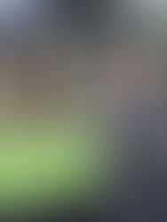 Projek Pantai Sentral Park bernilai RM8.3 bilion siap sepenuhnya menjelang 2040, dibangunkan oleh IJM Land Bhd keluasan 23.47 hektar, lokasi bersebelahan Hutan Simpan Bukit Kerinchi