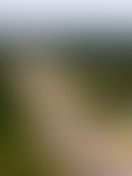 Lebuh Raya Pan Borneo pakej Sabah tak siap tahun depan