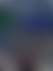 Kerajaan tidak benarkan jalan raya atas tanah kerajaan dijual kepada swasta