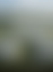 Pelabur China minat bangunkan projek tenaga hijau di Perlis