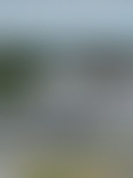 PROLINTAS tegaskan struktur DASH mematuhi spesifikasi, langkah tambahan keselamatan diterapkan