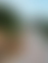 KKR lulus RM8.8 juta untuk pembaikan cerun berisiko di Pulau Pinang