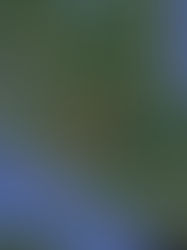 Gempa bumi bermagnitud 4.1, kerajaan Johor menasihatkan rakyat menjauhi struktur tidak kukuh