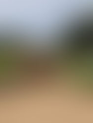 62 pelajar Kejuruteraan Awam UMS sertai lawatan tapak Pan Borneo