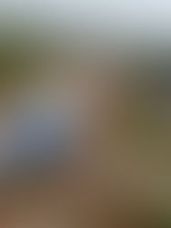 JKR siap siaga pantau cerun berisiko hadapi Monsun Timur Laut 2025