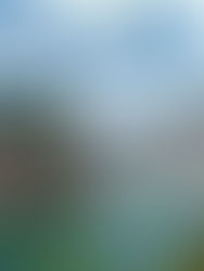 Tenaga hidro kekal fokus utama sumber tenaga Sarawak - Abang Johari