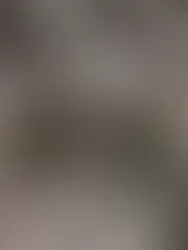 Pakej 11 Projek Langat 2 Fasa 1 diiktiraf MBOR