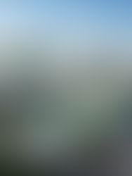 Selangor sasar tenaga nuklear dalam lima tahun