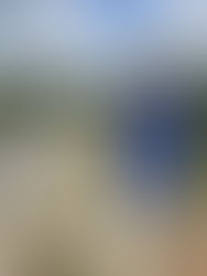 Jalan Felda Bukit Rokan Utara siap dinaiktaraf dengan kos RM6.2 juta