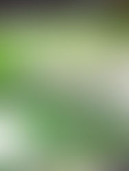 Projek naik taraf lapangan terbang Pulau Pinang capai kemajuan positif