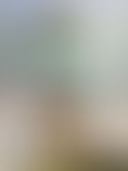 TCS Group beri kerjasama penuh siasat punca keretakan projek J Satine