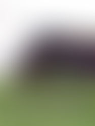 EcoWorld International kekal berhati-hati dalam pelancaran projek baharu