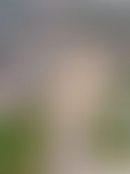 Kelewatan Seksyen 3 WCE jejas operasi dan kos sektor logistik