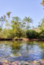Piscina natural