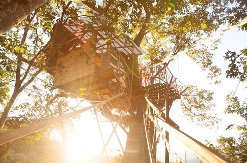 Arara tree house 14.jpeg