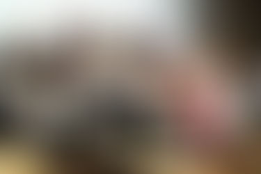 Vocal competition "Nightingale trill" 11/25/2023