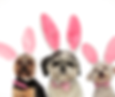 masker maken (1).png