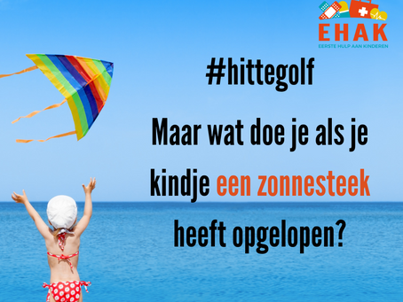 Zonnesteek