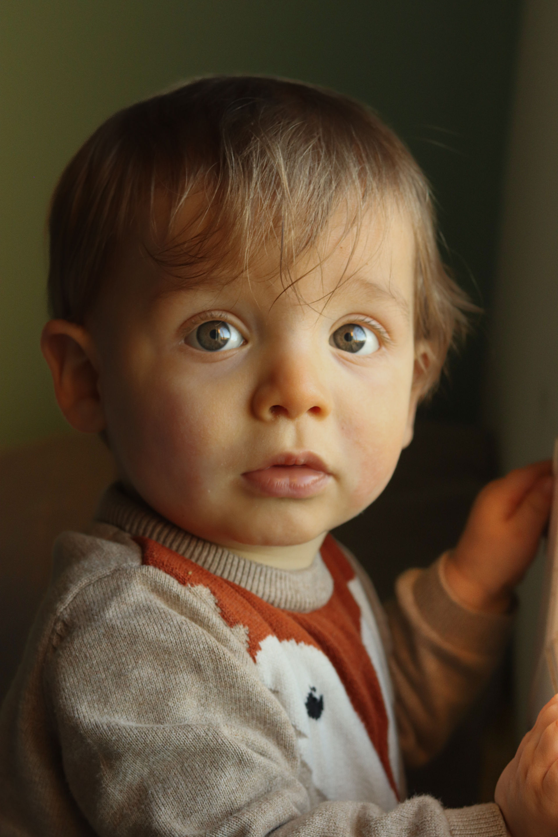 portrait d'un bébé 