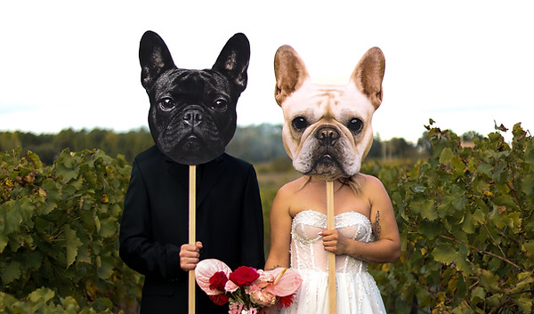 mariés cachés derrière des masques de chiens camille coste photographie, photographe de mariage à Montpellier