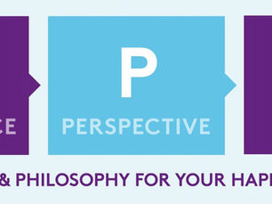 APE Acceptance Perspective Energy Mindset Methodology