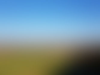 Taking the long, scenic route to the shops – one of the upsides of lockdown