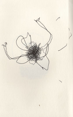 on_se_bat_puis_on_s'ébat_réponse-a-protagonist_Claire_Hiegel_ESAD_Valenciennes