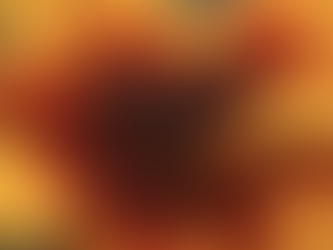 Heliopolis Burning Hearts’(False Sunflower)- Heliopolis helianthoides var. scabra Burning Hearts’