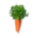 Carrot Punch