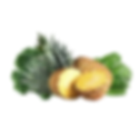 Green Pineapple Oat Smootie
