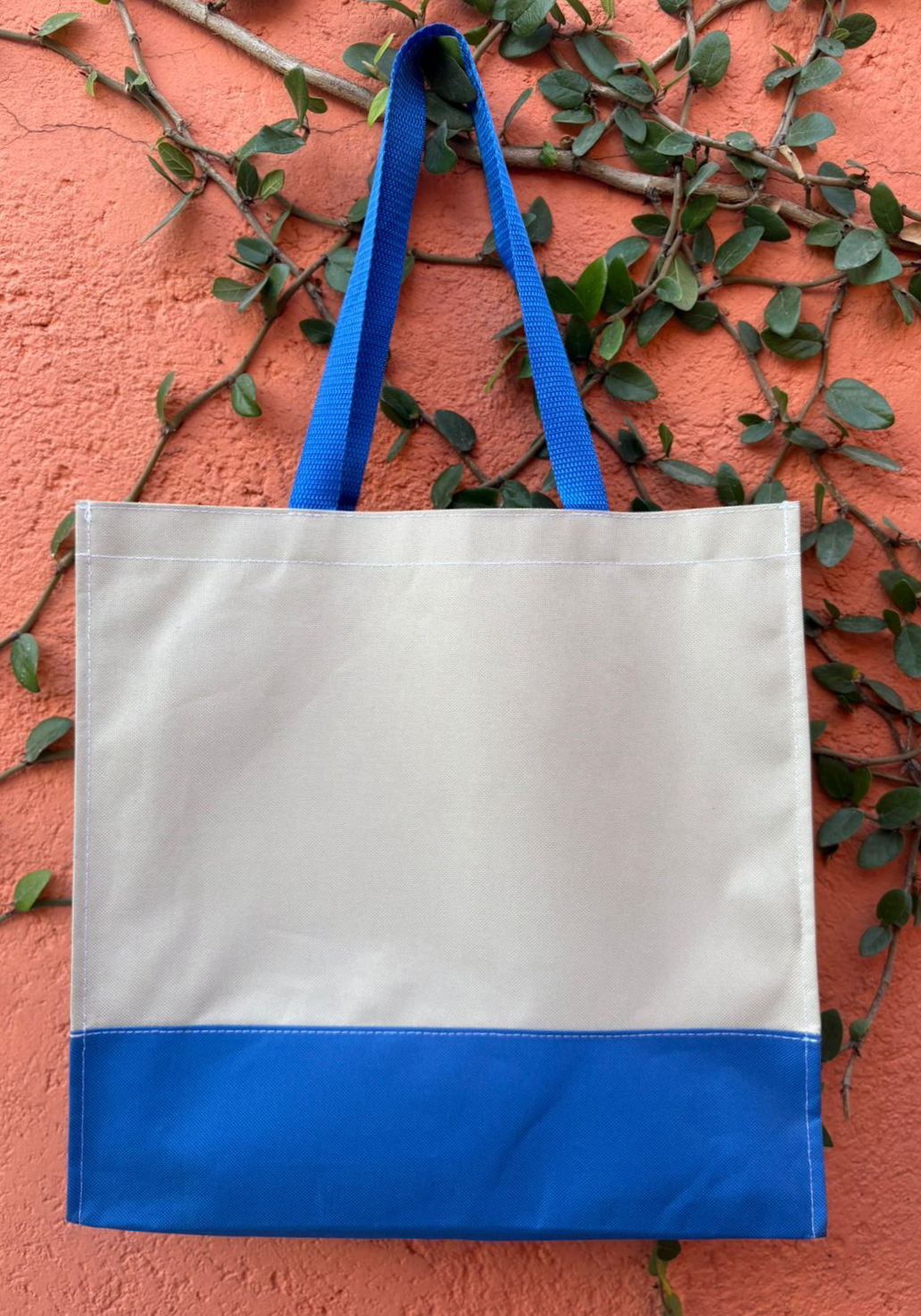 Bolsa Bicolor Mandadera (25 piezas)