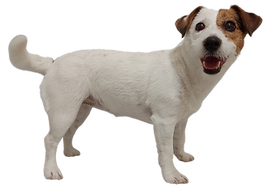 Kopia Kopia Copy of Kopia Copy of Copy of Copy of Copy of Copy of Regulamin na strone.png