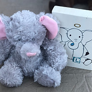 elephant.jpeg