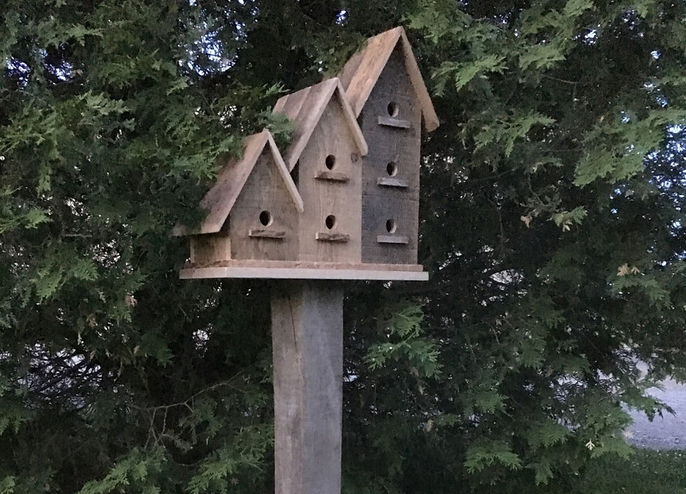 Reclaimed hemlock bird house