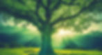 Majestic tree blues and greens sunshine.jpg