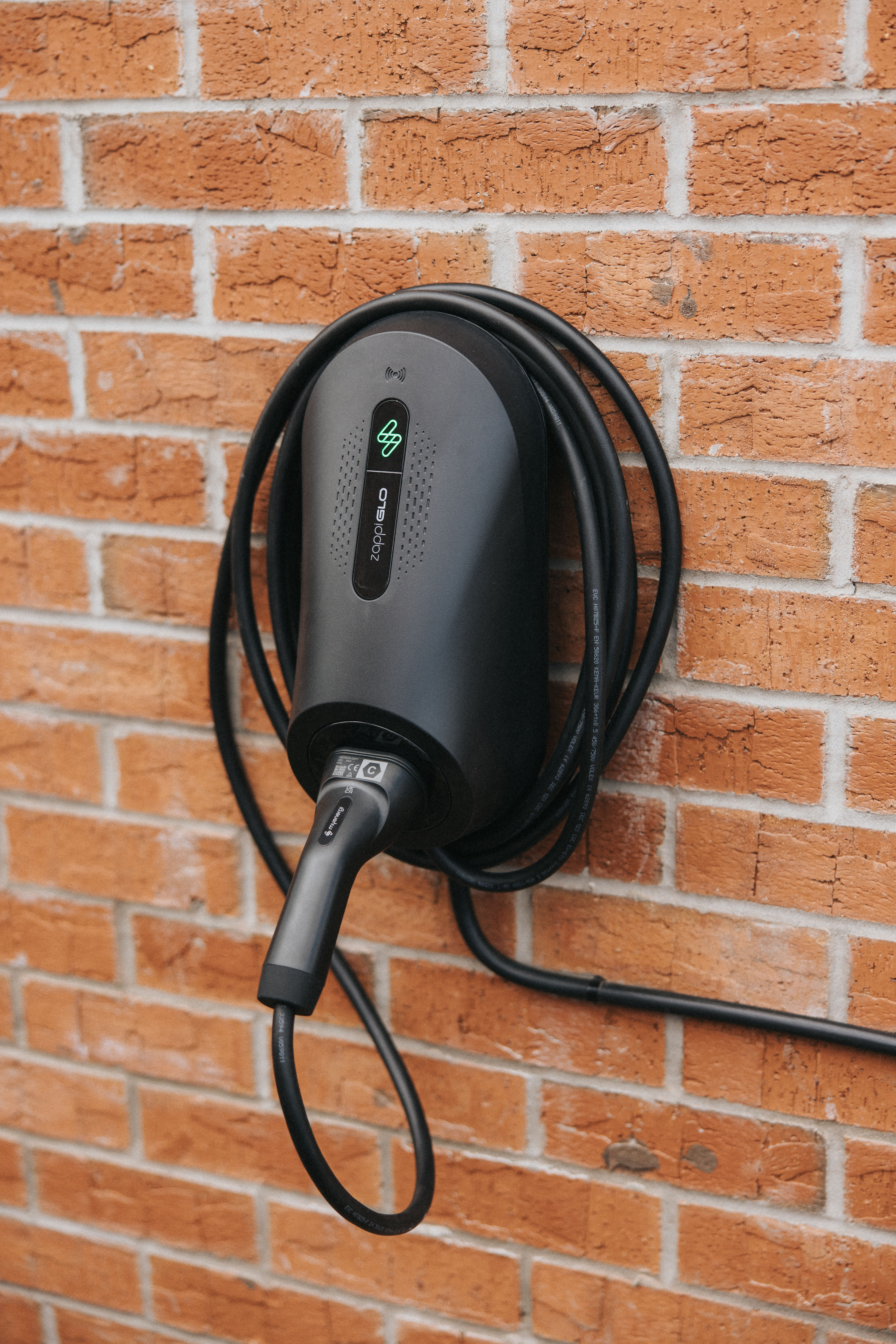 Zappi GLO