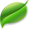 Daun-min.png