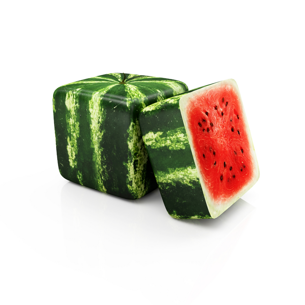 Iconic Square Watermelon One of the Most Expensive Fruits in the World