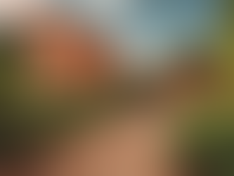 Descubra destinos exclusivos com a AJ Wings