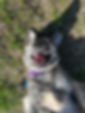 IMG_0044.jpeg