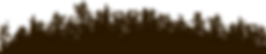 forest silhouette