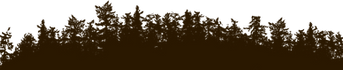 Black Trees Strip