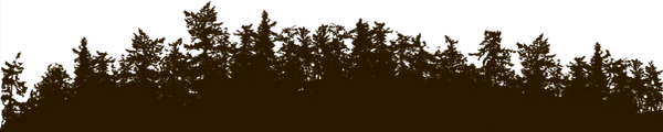 Los árboles negro de Gaza
