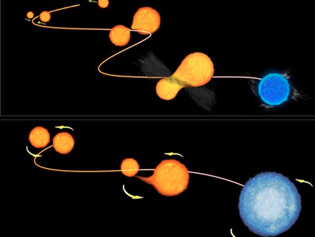 Blue straggler stars 