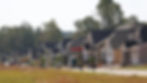 treetops-mk066_900x506x4704-2646-0-245.jpg