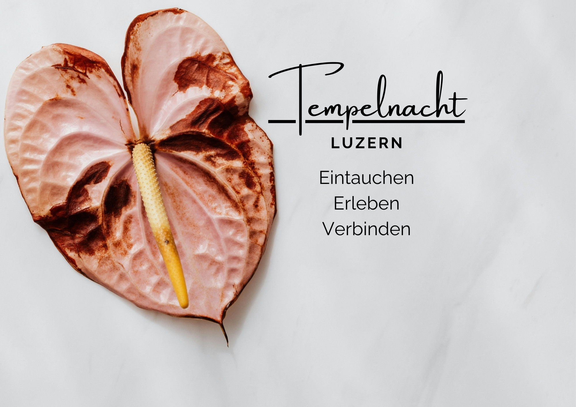 Tempelnacht - ein Raum der Sinnlichkeit